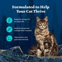 Blue Buffalo Wilderness Wild Delights Chicken & Trout In Tasty Gravy Grain-Free Canned Cat Food -Blue Buffalo Shop 51766 PT3. AC SS1800 V1646779586