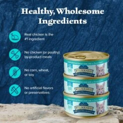 Blue Buffalo Wilderness Wild Delights Chicken & Trout In Tasty Gravy Grain-Free Canned Cat Food -Blue Buffalo Shop 51766 PT5. AC SS1800 V1646787092
