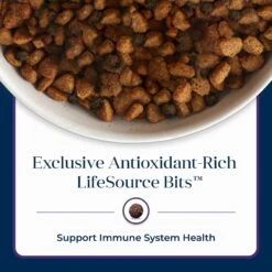 Blue Buffalo Basics Skin & Stomach Care Turkey & Potato Recipe Senior Dry Dog Food 18 Blue Buffalo Basics Skin & Stomach Care Turkey & Potato Recipe Senior Dry Dog Food -Blue Buffalo Shop 51892 PT7. AC SS1800 V1646280691