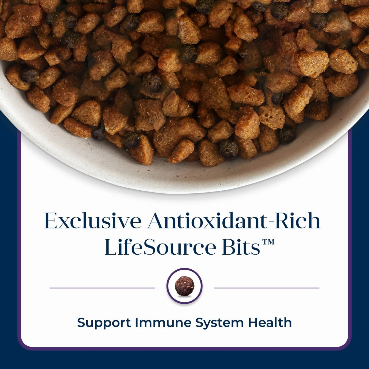 Blue Buffalo Basics Skin & Stomach Care Turkey & Potato Recipe Senior Dry Dog Food 10 Blue Buffalo Basics Skin & Stomach Care Turkey & Potato Recipe Senior Dry Dog Food - Image 8