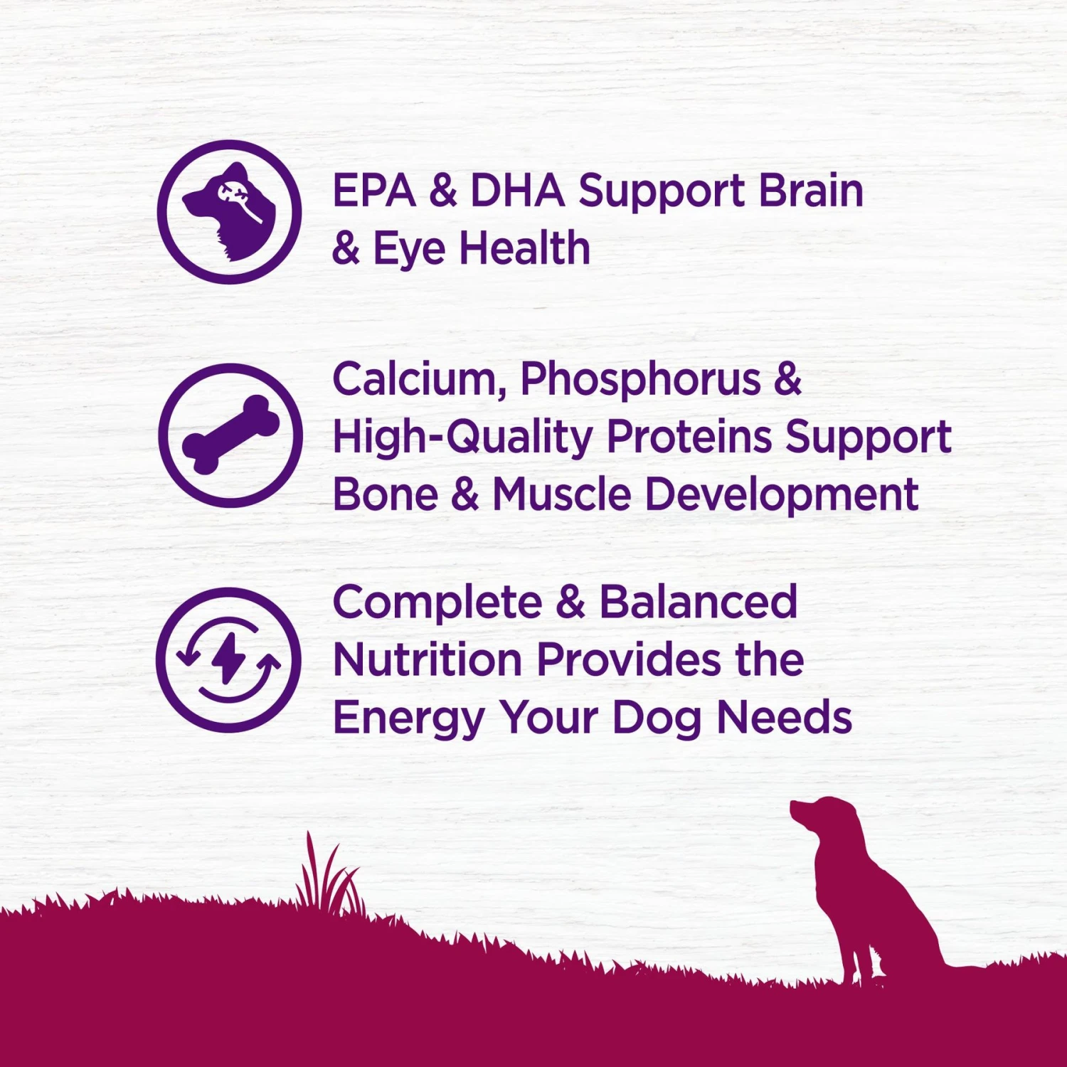 Wellness Small Breed Complete Health Puppy Turkey, Oatmeal & Salmon Meal Recipe Dry Dog Food 6 Wellness Small Breed Complete Health Puppy Turkey, Oatmeal & Salmon Meal Recipe Dry Dog Food - Image 4