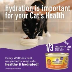 Wellness Morsels Chicken Entree Grain-Free Canned Cat Food -Blue Buffalo Shop 52110 PT3. AC SS1800 V1695844317