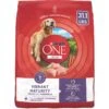 Purina ONE SmartBlend Vibrant Maturity 7+ Formula Adult Premium Dry Dog Food -Blue Buffalo Shop 52544 MAIN. AC SS1800 V1676050815