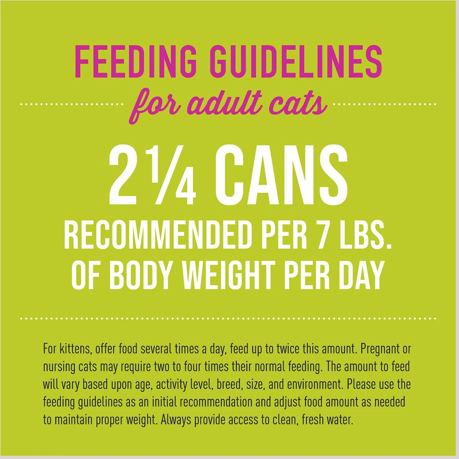 Tiki Cat Luau Tilapia Pate Wet Cat Food 8 Tiki Cat Luau Tilapia Pate Wet Cat Food - Image 6