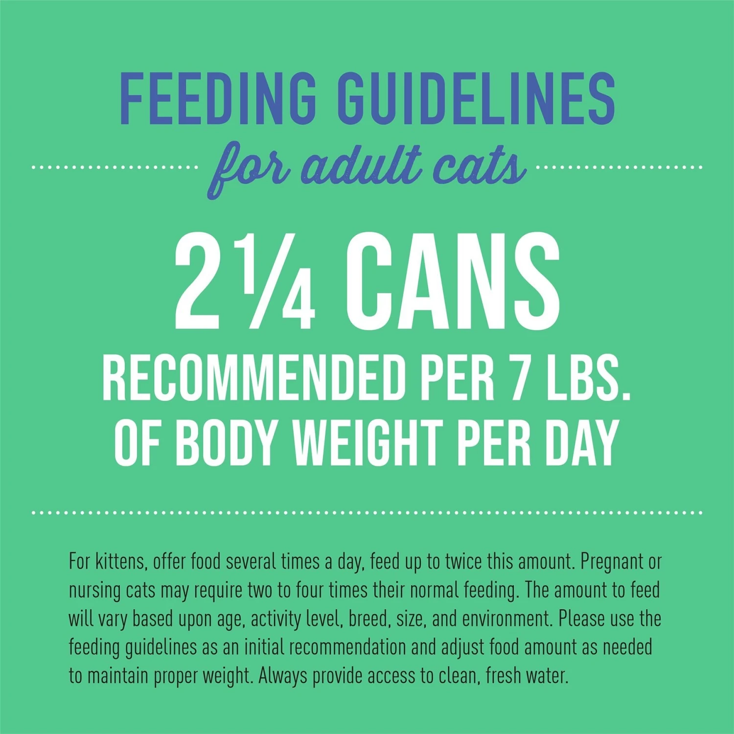 Tiki Cat Luau Seabass Pate Wet Cat Food 7 Tiki Cat Luau Seabass Pate Wet Cat Food - Image 5