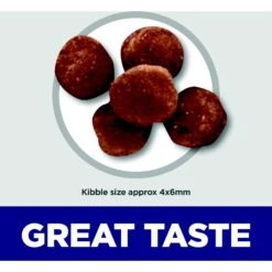 Hill's Science Diet Indoor Kitten Dry Cat Food 13 Hill's Science Diet Indoor Kitten Dry Cat Food -Blue Buffalo Shop 52723 PT2. AC SS1800 V1690571445