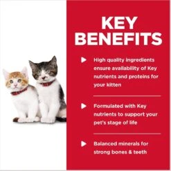 Hill's Science Diet Kitten Tender Chicken Dinner Canned Cat Food 14 Hill's Science Diet Kitten Tender Chicken Dinner Canned Cat Food -Blue Buffalo Shop 52774 PT3. AC SS1800 V1598155557