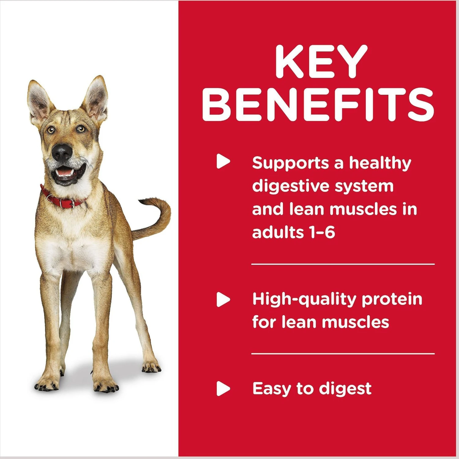 Hill's Science Diet Adult Savory Stew With Beef & Vegetables Canned Dog Food 6 Hill's Science Diet Adult Savory Stew With Beef & Vegetables Canned Dog Food - Image 4