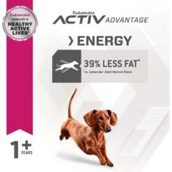 Eukanuba Fit Body Weight Control Small Breed Dry Dog Food 13 Eukanuba Fit Body Weight Control Small Breed Dry Dog Food -Blue Buffalo Shop 533158 PT5. AC SS1800 V1652738210