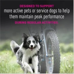 Eukanuba Premium Performance 26/16 EXERCISE Adult Dry Dog Food 16 Eukanuba Premium Performance 26/16 EXERCISE Adult Dry Dog Food -Blue Buffalo Shop 533182 PT5. AC SS1800 V1677085239