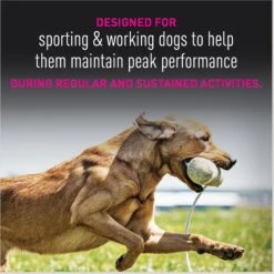 Eukanuba Premium Performance 30/20 SPORT Adult Dry Dog Food -Blue Buffalo Shop 533198 PT8. AC SS1800 V1677085178