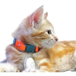 Kittyrama Kitten Breakaway Adjustable With Bell Cat Collar 10 Kittyrama Kitten Breakaway Adjustable With Bell Cat Collar -Blue Buffalo Shop 534390 PT2. AC SS1800 V1652979984