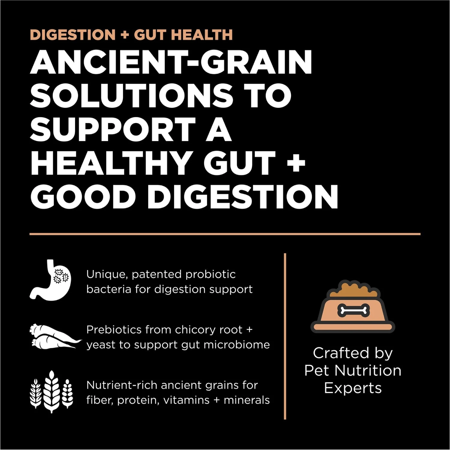 Go! Solutions Digestion + Gut Health Salmon Recipe With Ancient Grains For Dogs 4 Go! Solutions Digestion + Gut Health Salmon Recipe With Ancient Grains For Dogs - Image 2