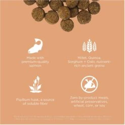 Go! Solutions Digestion + Gut Health Salmon Recipe With Ancient Grains For Dogs 13 Go! Solutions Digestion + Gut Health Salmon Recipe With Ancient Grains For Dogs -Blue Buffalo Shop 539534 PT2. AC SS1800 V1662064768