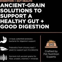 Go! Solutions Digestive + Gut Health Salmon Recipe With Ancient Grains For Cats -Blue Buffalo Shop 539574 PT1. AC SS1800 V1662064889