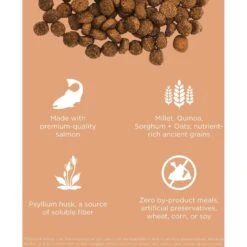 Go! Solutions Digestive + Gut Health Salmon Recipe With Ancient Grains For Cats -Blue Buffalo Shop 539574 PT2. AC SS1800 V1662061727