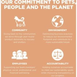 Go! Solutions Digestive + Gut Health Salmon Recipe With Ancient Grains For Cats -Blue Buffalo Shop 539574 PT7. AC SS1800 V1662060476