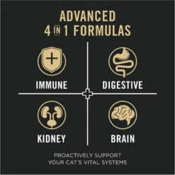 Purina Pro Plan Vital Systems 4-in-1 Salmon Pate Wet Cat Food, 3-oz Can, Case Of 24 11 Purina Pro Plan Vital Systems 4-in-1 Salmon Pate Wet Cat Food, 3-oz Can, Case Of 24 -Blue Buffalo Shop 542038 PT2. AC SS1800 V1652975788