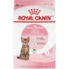Royal Canin Feline Health Nutrition Kitten Spayed/Neutered Dry Cat Food