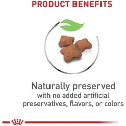 Royal Canin Feline Health Nutrition Kitten Spayed/Neutered Dry Cat Food 12 Royal Canin Feline Health Nutrition Kitten Spayed/Neutered Dry Cat Food -Blue Buffalo Shop 54330 PT3. AC SS1800 V1697732909