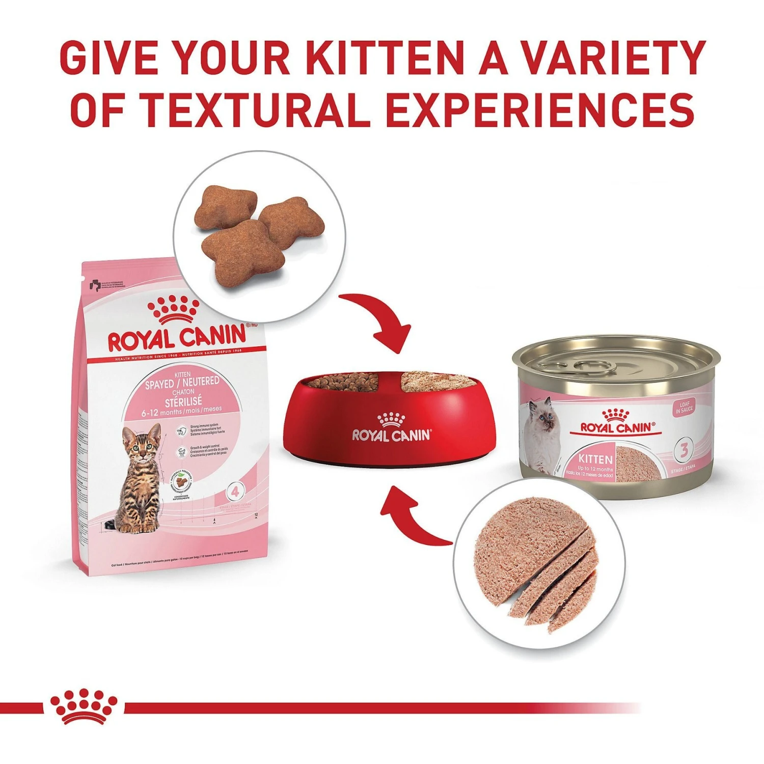 Royal Canin Feline Health Nutrition Kitten Spayed/Neutered Dry Cat Food 7 Royal Canin Feline Health Nutrition Kitten Spayed/Neutered Dry Cat Food - Image 5