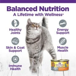 Wellness Complete Health Age Advantage Grain-Free Variety Pack Wet Cat Food, 3-oz Can, Case Of 24 14 Wellness Complete Health Age Advantage Grain-Free Variety Pack Wet Cat Food, 3-oz Can, Case Of 24 -Blue Buffalo Shop 548950 PT3. AC SS1800 V1657659362