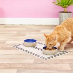 PetRageous Designs Meow Placemat 5 PetRageous Designs Meow Placemat -Blue Buffalo Shop 54973 PT7. AC SS1800 V1517251242