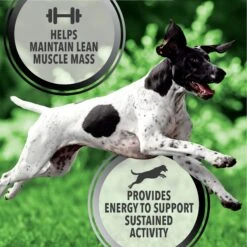 Iams Proactive Health Active Chicken & Turkey Recipe High Protein Adult Dry Dog Food 13 Iams Proactive Health Active Chicken & Turkey Recipe High Protein Adult Dry Dog Food -Blue Buffalo Shop 551510 PT2. AC SS1800 V1657659451