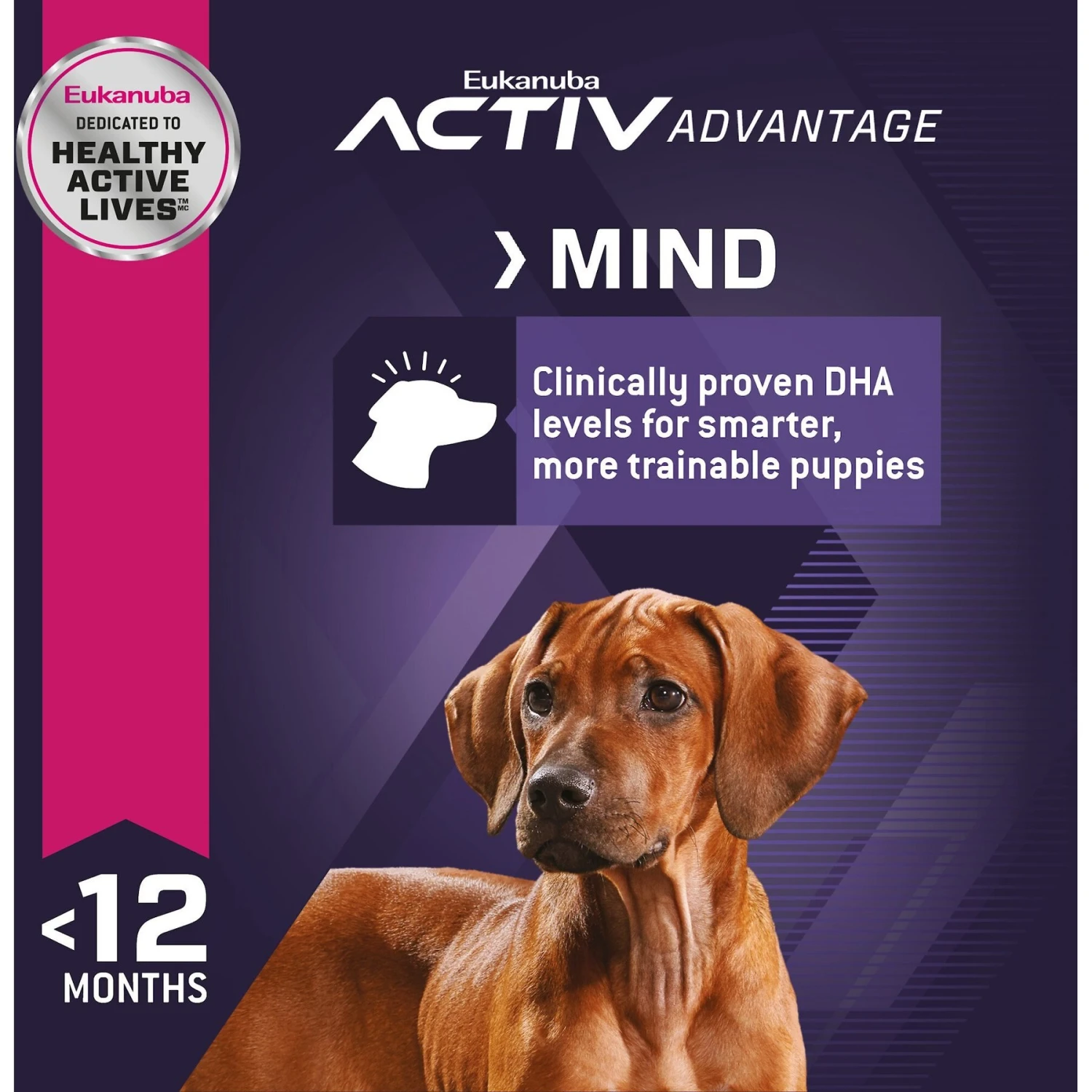 Eukanuba Puppy Large Breed Dry Dog Food 7 Eukanuba Puppy Large Breed Dry Dog Food - Image 5