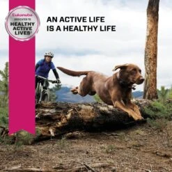 Eukanuba Senior Large Breed Dry Dog Food -Blue Buffalo Shop 552374 PT7. AC SS1800 V1677085790