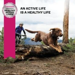 Eukanuba Adult Large Breed Dry Dog Food 18 Eukanuba Adult Large Breed Dry Dog Food -Blue Buffalo Shop 552422 PT7. AC SS1800 V1677085788