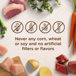 Rachael Ray Nutrish Natural Chicken Paw Pie Natural Wet Dog Food 12 Rachael Ray Nutrish Natural Chicken Paw Pie Natural Wet Dog Food -Blue Buffalo Shop 55444 PT4. AC SS1800 V1540231424