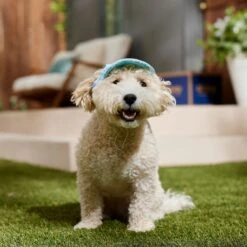 Frisco Blue Ocean Waves 30 + UPF Dog & Cat Beach Cap -Blue Buffalo Shop 556182 PT5. AC SS1800 V1675714092