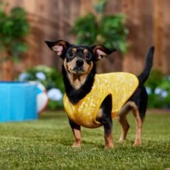 Frisco 30+ UPF Dog & Cat Beach Rash Guard -Blue Buffalo Shop 556286 PT6. AC SS1800 V1675714036