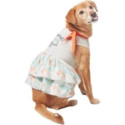 Frisco Tropical State Of Mind Dog & Cat Dress -Blue Buffalo Shop 556742 PT3. AC SS1800 V1675103177