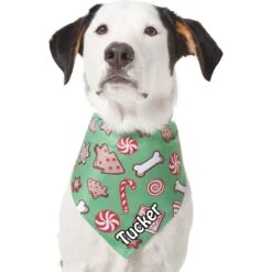 Frisco Gingerbread Treats Personalized Dog & Cat Bandana 17 Frisco Gingerbread Treats Personalized Dog & Cat Bandana -Blue Buffalo Shop 564502 PT6. AC SS1800 V1660405305