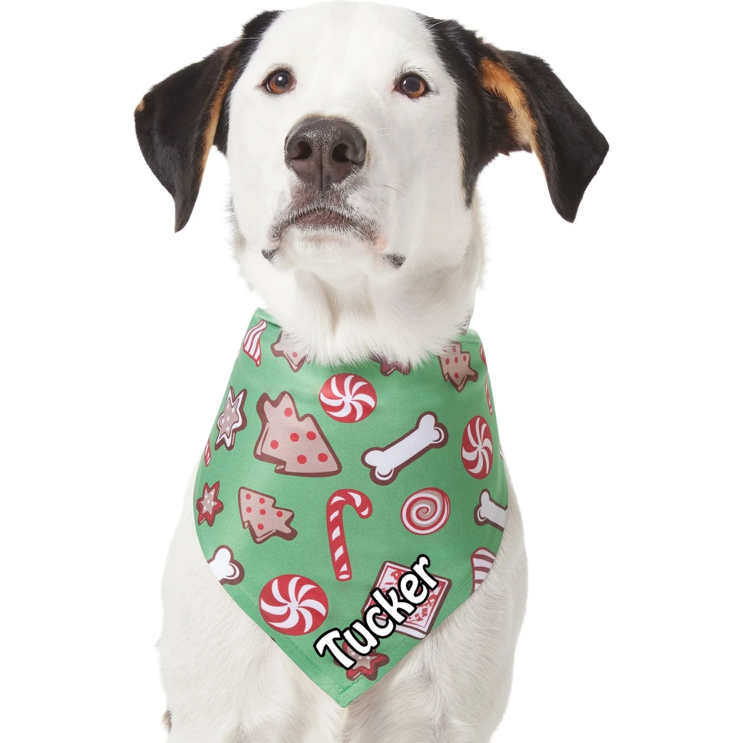 Frisco Gingerbread Treats Personalized Dog & Cat Bandana 9 Frisco Gingerbread Treats Personalized Dog & Cat Bandana - Image 7