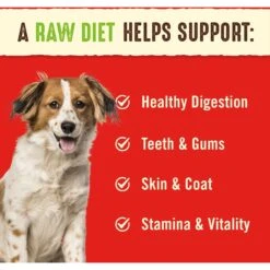 Stella & Chewy's Duck Duck Goose Dinner Patties Freeze-Dried Raw Dog Food & Stella & Chewy's Absolutely Rabbit Dinner Patties Freeze-Dried Raw Dog Food -Blue Buffalo Shop 567222 PT4. AC SS1800 V1657659923