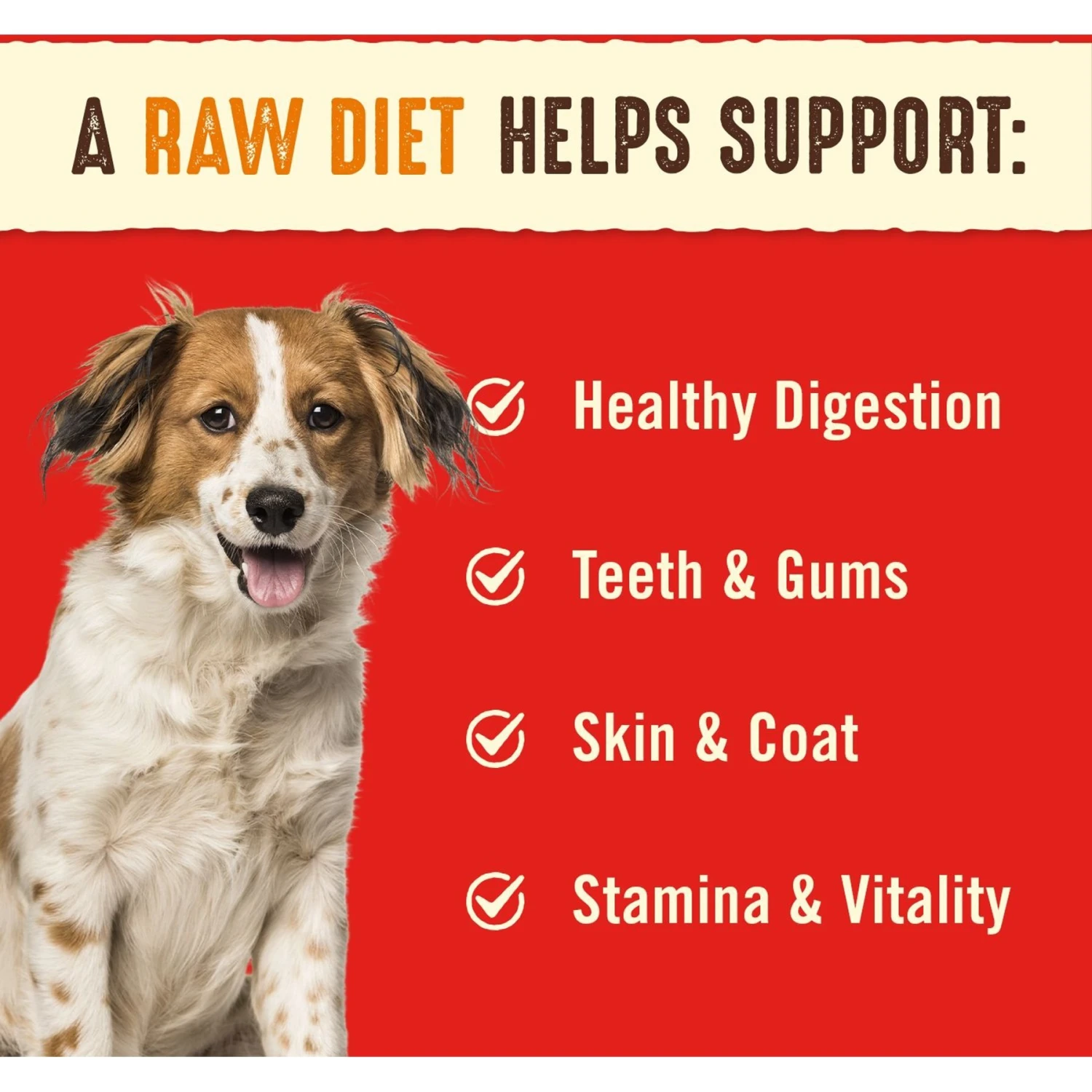Stella & Chewy's Stella's Super Beef Dinner Patties Freeze-Dried Raw Dog Food & Stella & Chewy's Absolutely Rabbit Dinner Patties Freeze-Dried Raw Dog Food 11 Stella & Chewy's Stella's Super Beef Dinner Patties Freeze-Dried Raw Dog Food & Stella & Chewy's Absolutely Rabbit Dinner Patties Freeze-Dried Raw Dog Food - Image 9