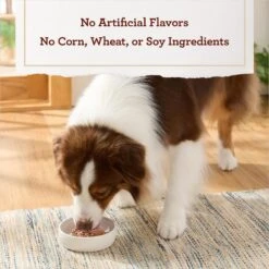 True Acre Foods Chicken & Liver Recipe Tender Loaf In Gravy, Wet Dog Food Cups -Blue Buffalo Shop 569334 PT5. AC SS1800 V1670335786