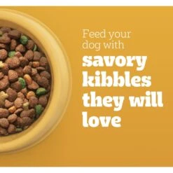 Pedigree With MarroBites Pieces Steak & Vegetable Flavor Adult Dry Dog Food -Blue Buffalo Shop 573438 PT3. AC SS1800 V1658197179