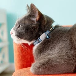 Red Dingo Nylon Reflective Breakaway Cat Collar With Bell 11 Red Dingo Nylon Reflective Breakaway Cat Collar With Bell -Blue Buffalo Shop 57577 PT2. AC SS1800 V1684885607