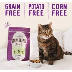 Stella & Chewy's Poultry Flavored Raw Blend Cage Free Recipe Dry Cat Food -Blue Buffalo Shop 576126 PT3. AC SS1800 V1657660401