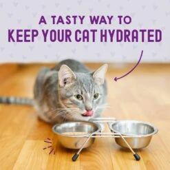 Stella & Chewy's Carnivore Cravings Salmon, Tuna & Mackerel Flavored Shredded Wet Cat Food 12 Stella & Chewy's Carnivore Cravings Salmon, Tuna & Mackerel Flavored Shredded Wet Cat Food -Blue Buffalo Shop 576294 PT7. AC SS1800 V1657660465