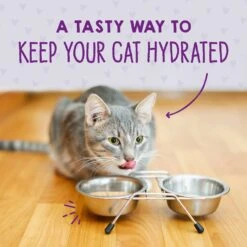 Stella & Chewy's Purrfect Pate Salmon, Tuna & Mackerel Flavored Pate Wet Cat Food 10 Stella & Chewy's Purrfect Pate Salmon, Tuna & Mackerel Flavored Pate Wet Cat Food -Blue Buffalo Shop 576414 PT7. AC SS1800 V1657660468