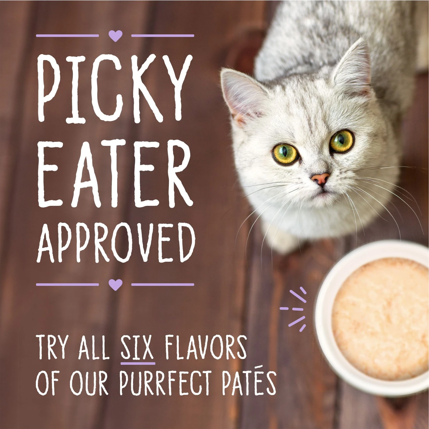 Stella & Chewy's Purrfect Pate Salmon, Tuna & Mackerel Flavored Pate Wet Cat Food 7 Stella & Chewy's Purrfect Pate Salmon, Tuna & Mackerel Flavored Pate Wet Cat Food - Image 5