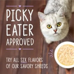 Stella & Chewy's Savory Shreds Chicken & Chicken Liver Flavored Shredded Wet Cat Food 17 Stella & Chewy's Savory Shreds Chicken & Chicken Liver Flavored Shredded Wet Cat Food -Blue Buffalo Shop 576486 PT8. AC SS1800 V1657660469