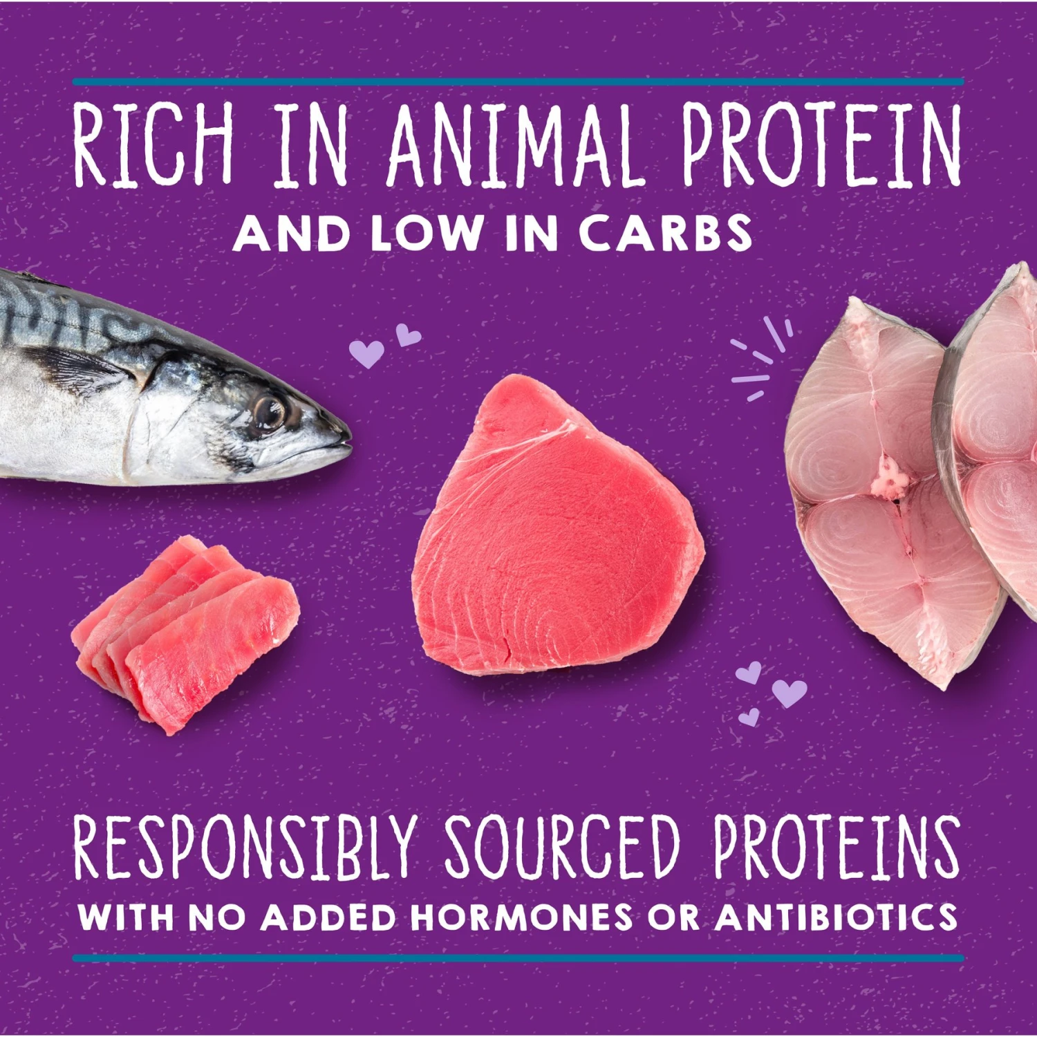 Stella & Chewy's Savory Shreds Tuna & Mackerel Flavored Shredded Wet Cat Food 6 Stella & Chewy's Savory Shreds Tuna & Mackerel Flavored Shredded Wet Cat Food - Image 4