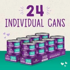 Stella & Chewy's Savory Shreds Tuna & Salmon Flavored Shredded Wet Cat Food 12 Stella & Chewy's Savory Shreds Tuna & Salmon Flavored Shredded Wet Cat Food -Blue Buffalo Shop 576574 PT5. AC SS1800 V1657660471