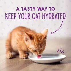 Stella & Chewy's Chicken & Salmon Flavored Pate Kitten Wet Cat Food 17 Stella & Chewy's Chicken & Salmon Flavored Pate Kitten Wet Cat Food -Blue Buffalo Shop 576606 PT8. AC SS1800 V1657660473